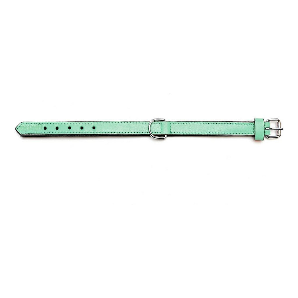 PaddedGroen | Zachte Hondenhalsband