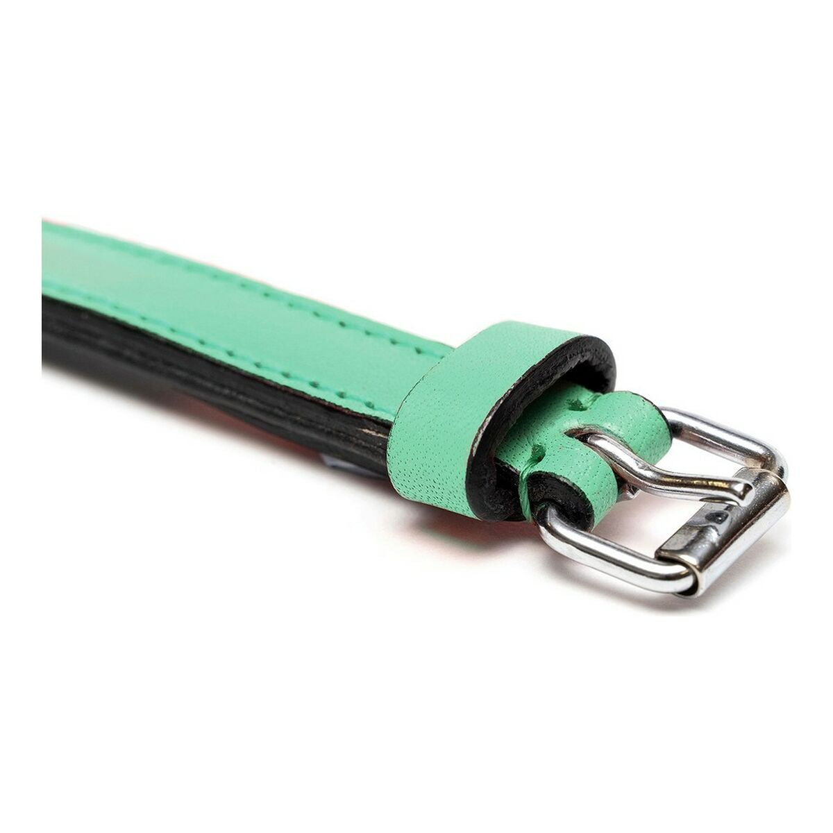 PaddedGroen | Zachte Hondenhalsband