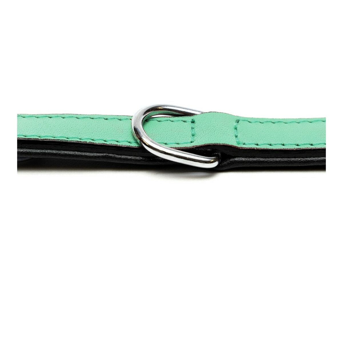 PaddedGroen | Zachte Hondenhalsband