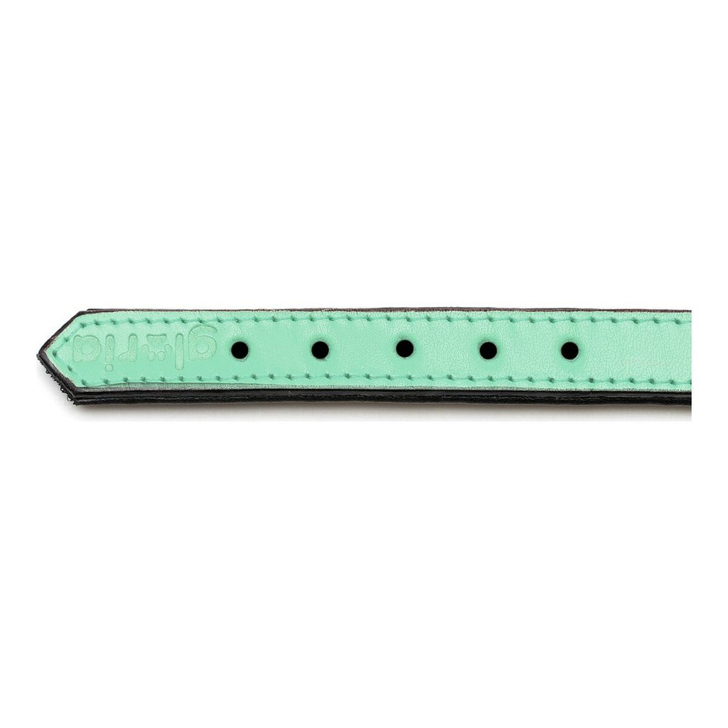 PaddedGroen | Zachte Hondenhalsband