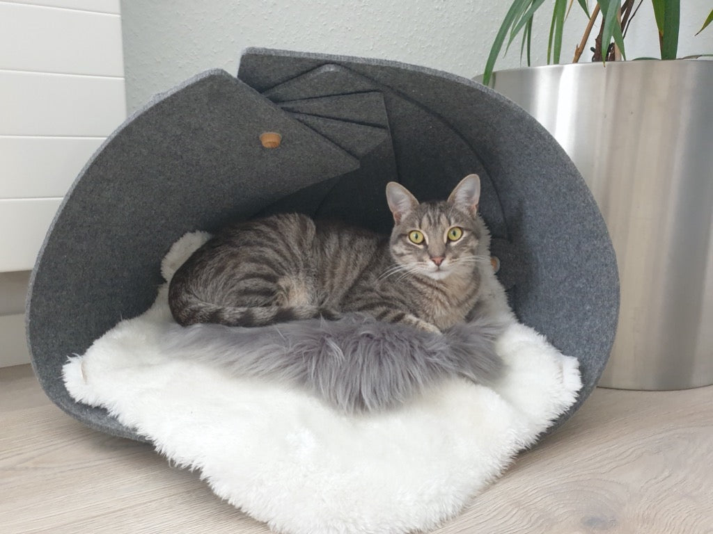 Nautilus | Stijlvolle Accessoire