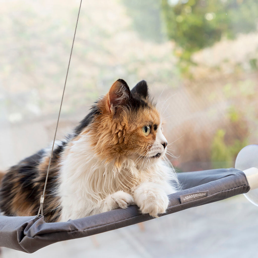 HangMat | Comfortabel Kattenbed
