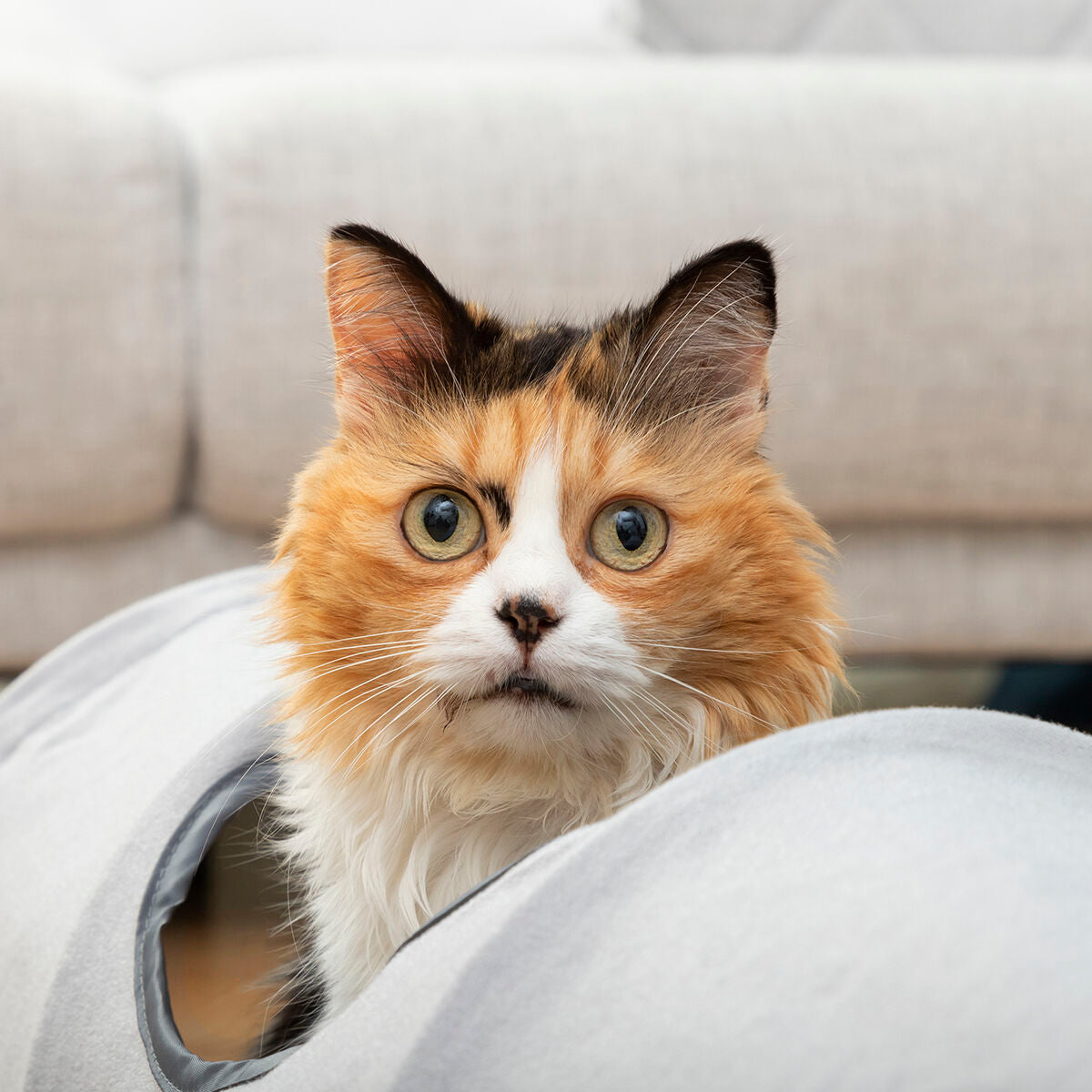 SpeelTunnel | Opvouwbare Kattentunnel