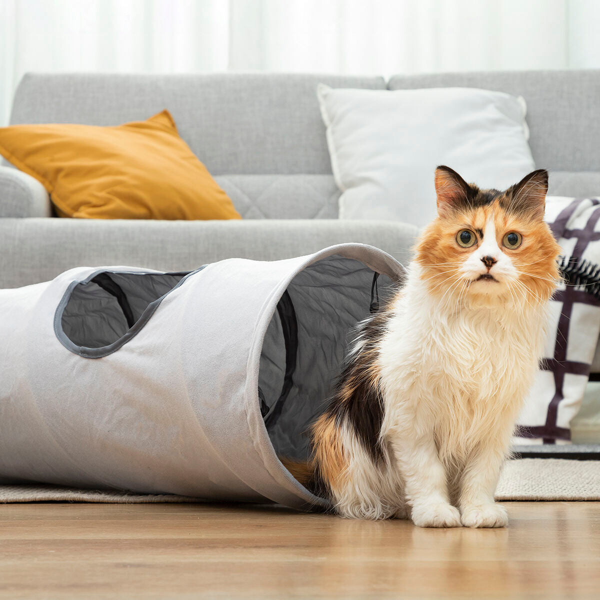 SpeelTunnel | Opvouwbare Kattentunnel
