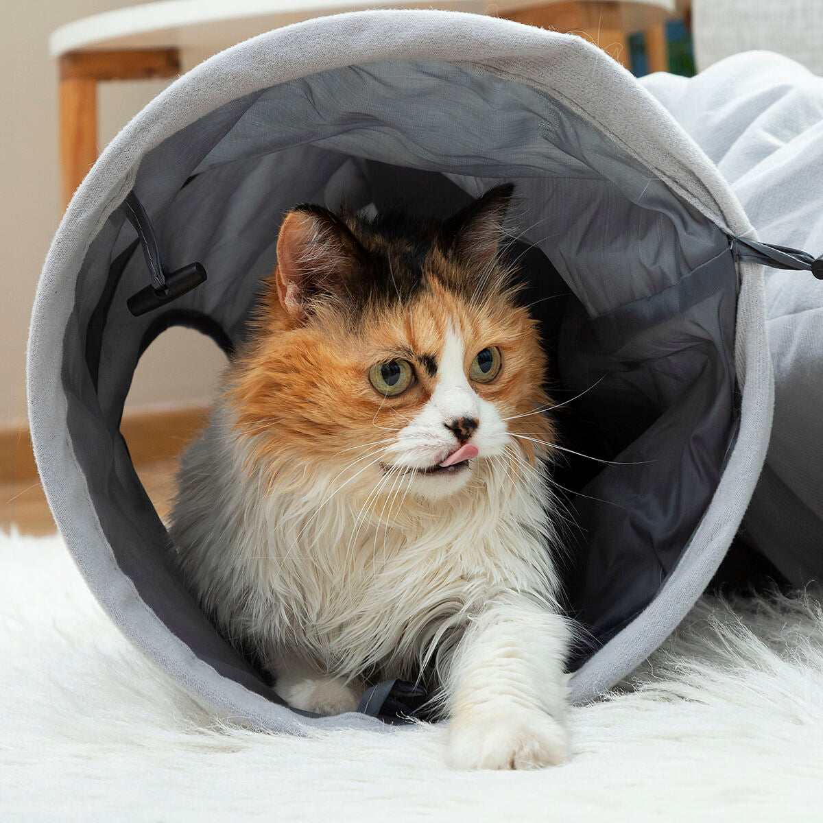 SpeelTunnel | Opvouwbare Kattentunnel