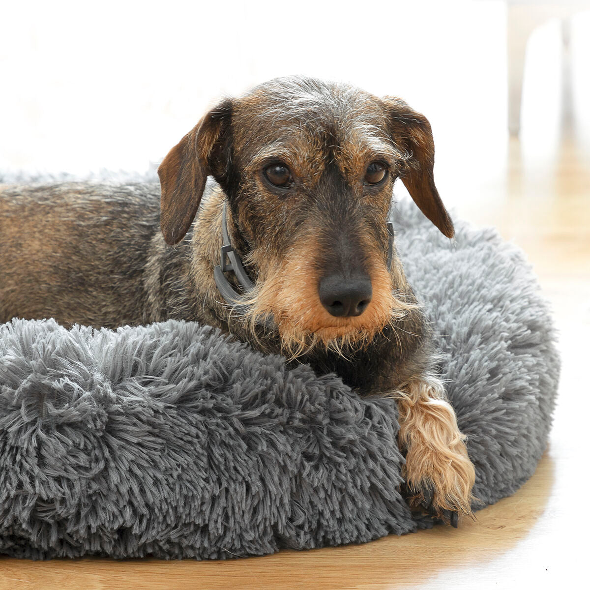 KalmKussen | Anti-stress Hondenmand