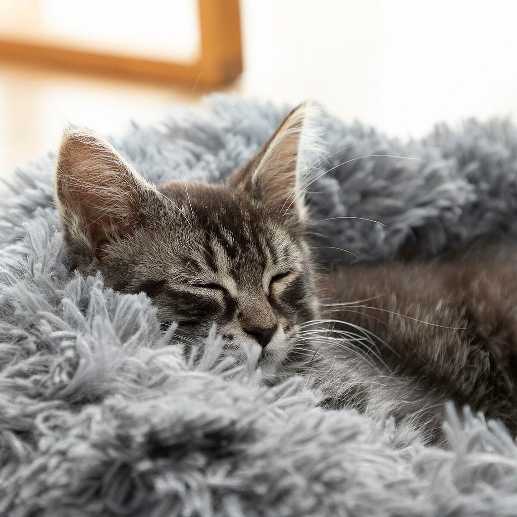 KalmKussen | Anti-stress Hondenmand